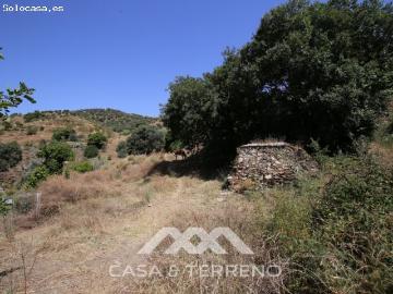 Encantadora finca con gran terreno en Totalán A solo 30 minutos de Málaga