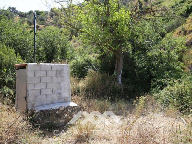 Encantadora finca con gran terreno en Totalán A solo 30 minutos de Málaga