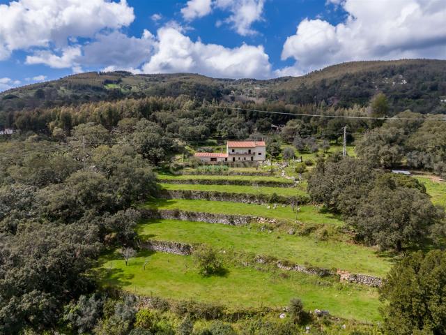 Quinta Com 2,5 Hectares Em Zona Central De Monchique 720m² Monchique