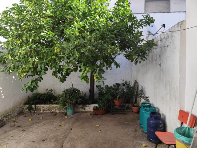 Encantadora Moradia T4 na Prestigiada Zona da Porta Nova em Moura O Seu Refúgio Familiar com Quintal Privativo e Potencial de Expansão!