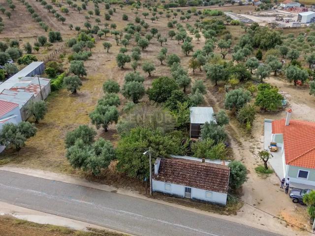 Encantadora Moradia T1 em São Vicente do Paul, Santarém