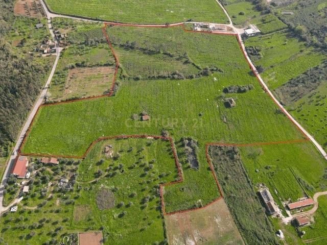 Encantadora Propriedade em Águas Belas, Ferreira do Zêzere