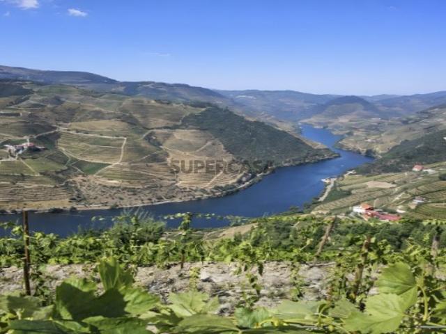 Encantadora Quinta com Vista Rio no Coração do Douro