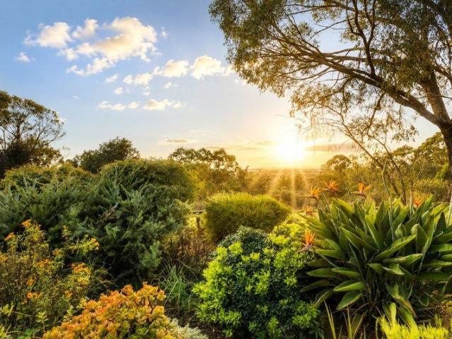 Enchanted Gardens & Views for Miles