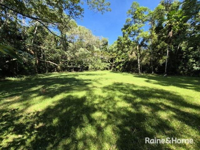 Enchanting Rainforest Block 2.5 acres