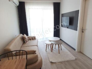 Zeytinköy Mah , Denizli, Denizli ili, Ege Bölgesi