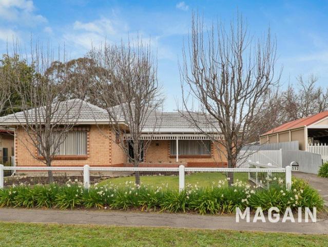 Endless opportunities await this Solid brick 1965 home on a Generous 1,079m² Allotment!