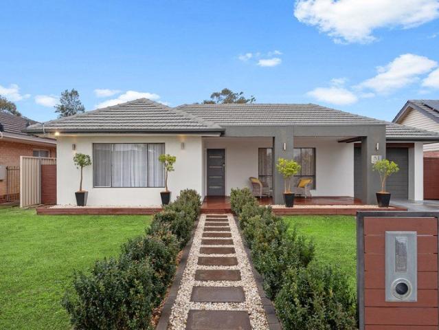 Endless Possibilities| A Solid Classic in Plympton's Premium Pocket