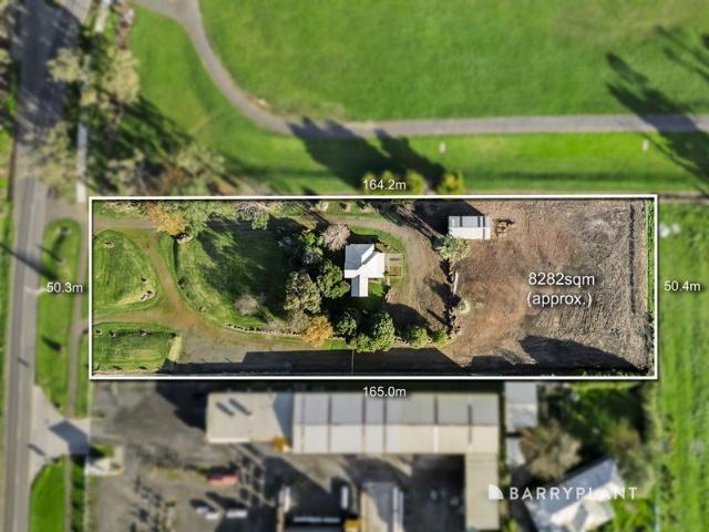Endless Potential, Massive Allotment
