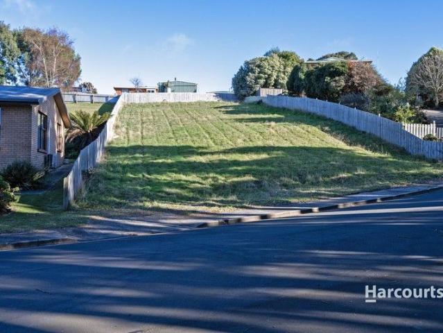 Endless Potential on 1038m²