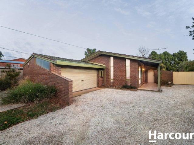 Endless Potential on a Massive 1,111m² Approx. Allotment!