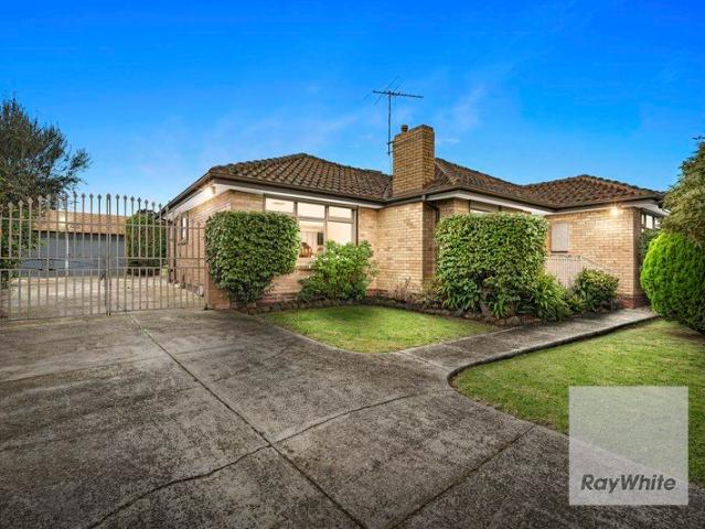 Endless Potential on a Generous 1,063m² Allotment