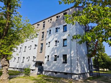 Kötzschen, Saalekreis, Thüringen - Keller