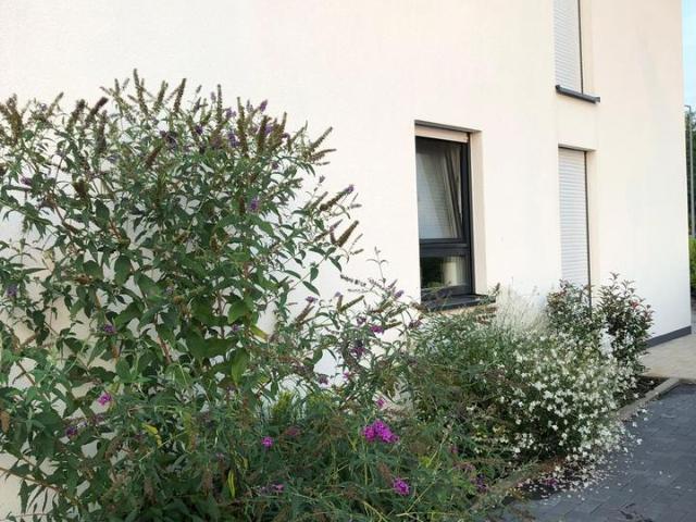 Energieautarkes Traumhaus Moers Bj. 2016 ohne Makler