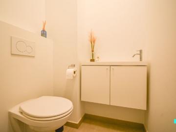 8880, Roeselare, Roulers, Flandre-Occidentale, Flandre
