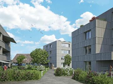 Däniken, Bezirk Olten, Aargau