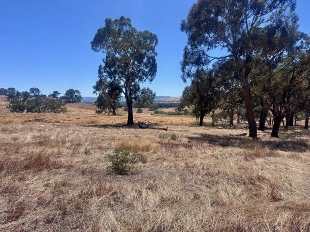 Enjoy country life in town on 10 acres!