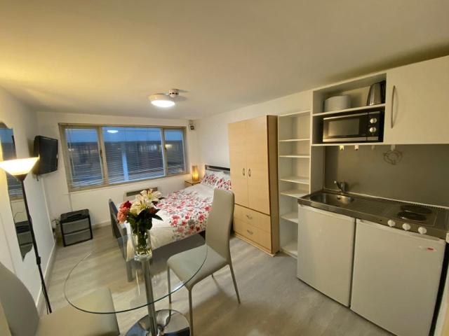 Ensuite Large Studio Flat in South Ken SW7