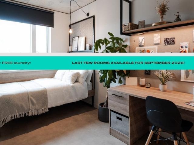 Ensuite Room in Central London