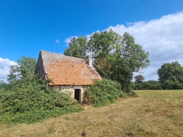 Ensemble à fort potentiel à la campagne de GIPCY