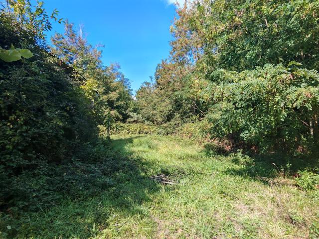 ENSEMBLE IMMOBILIER AVEC FORT POTENTIEL SUR PLUS DE 1,6HA DE TERRAIN