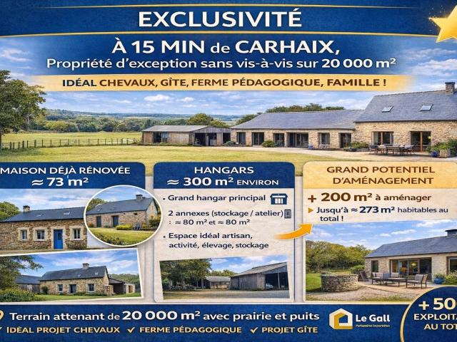 Ensemble immobilier avec hangars