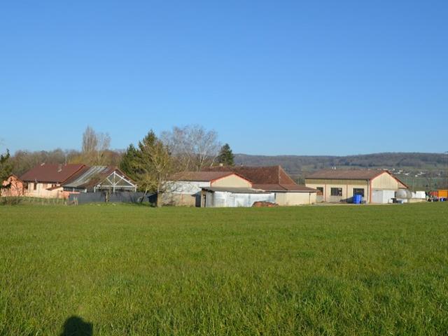 Ensemble immobilier composé de deux maisons et d'un hangar CUISIA 39
