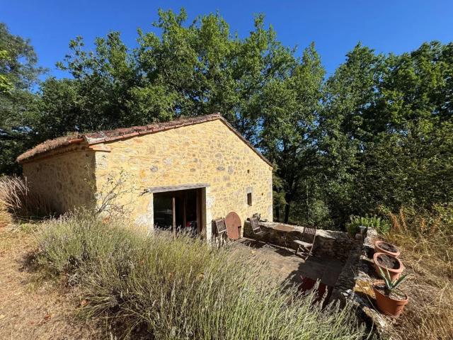 Ensemble immobilier en pierre avec 15 ha de terrain. 334m² Albas