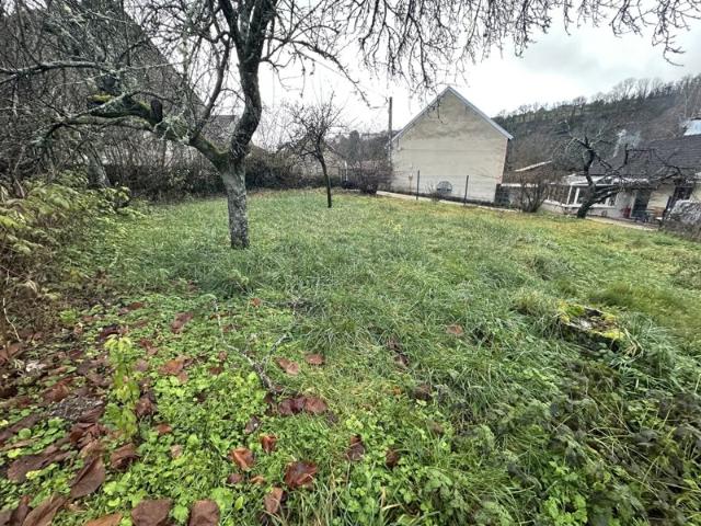Ensemble immobilier 2 maisons + grange FROLOIS