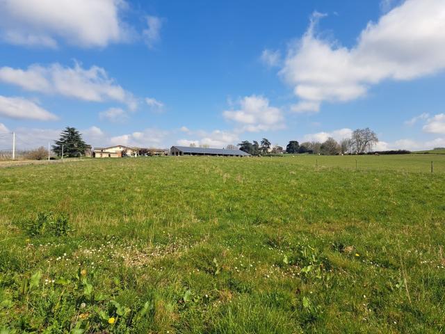 Ensemble immobilier sur 3000 m2 de terrain avec garages ! 200m² Casseuil
