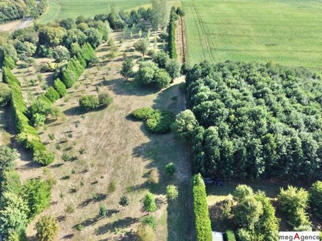 Ensemble immobilier, 4 logements et un bois