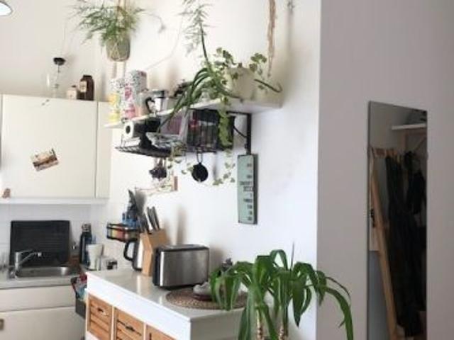 Entzückende Singlewohnung in Krems Zentrum