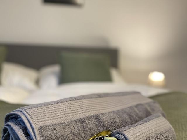 ENTERLIVINGHOMES Panorama Home Central, Skyline, business Apartment, Ingolstadt Amsterdam Apartments for Rent