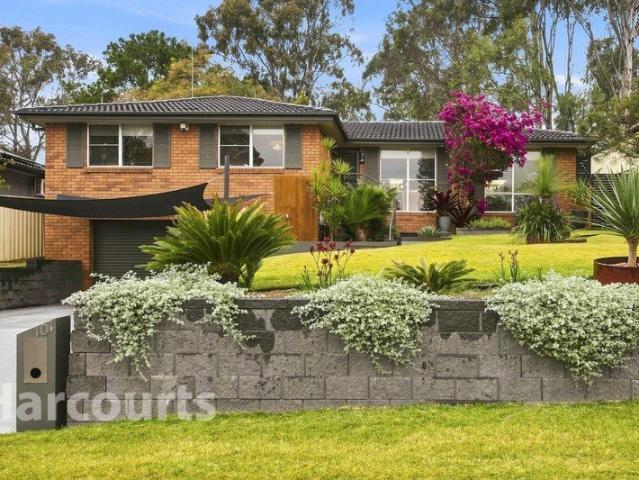 Entertainer's Delight and Lifestyle Appeal