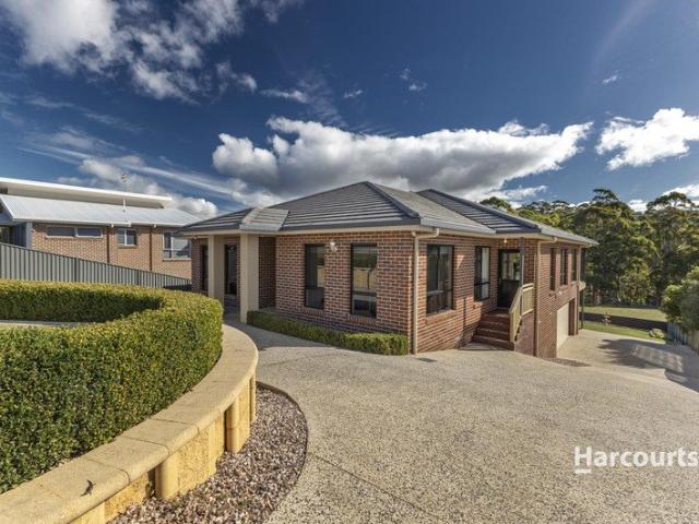 Entertainers Delight in Park Grove