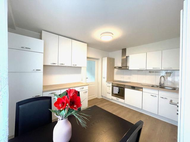 Entire Apartment – modern, cozy & fully furnished with a spacious terrace, Stuttgart Amsterdam Apartments for Rent