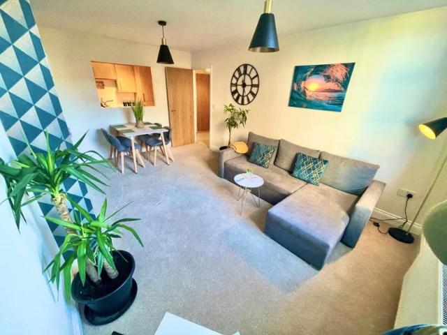 Entire flat for rent