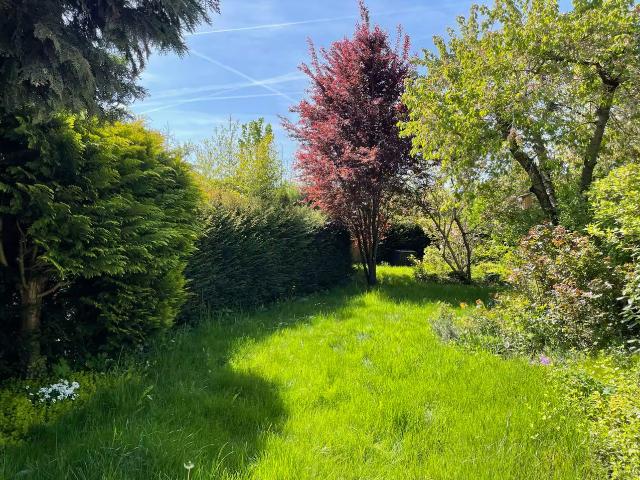 Entire house with garden – exclusively for your group, Leipzig Amsterdam Apartments for Rent