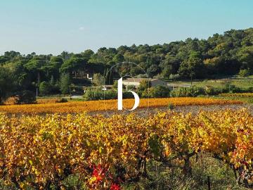 Entre Vallée de la Cèze et Gorges de l'Ardèche