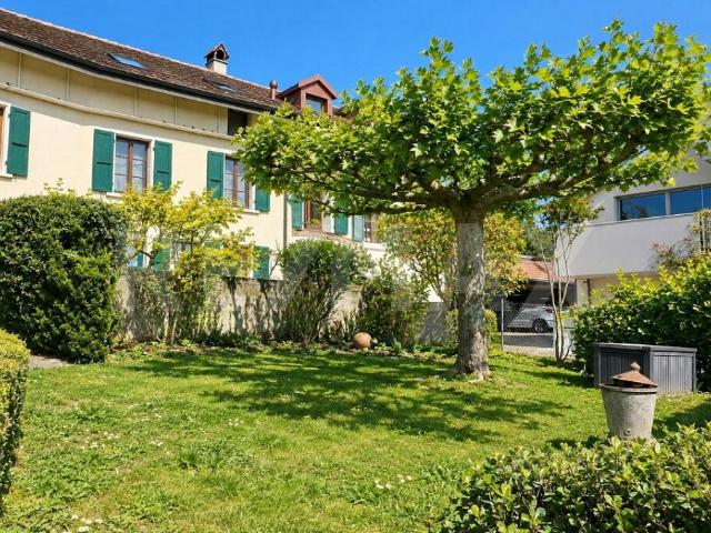 Entre vigne et Lac Léman: maison villageoise de 273 m² utiles