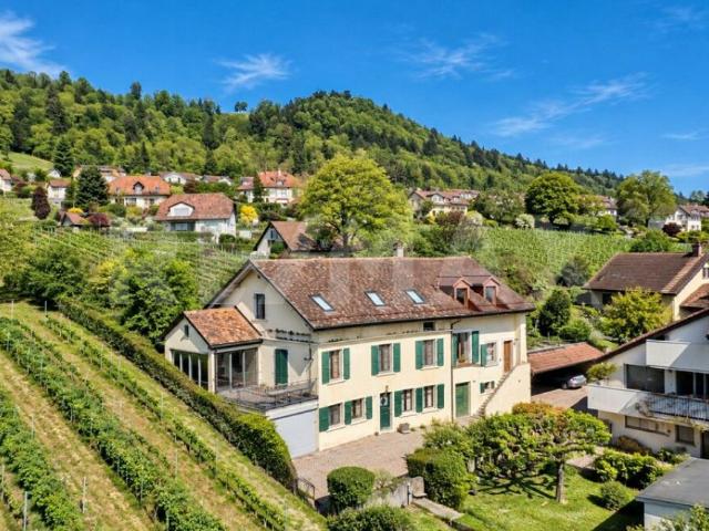 Entre vigne et Lac Léman: maison villageoise de 273 m² utiles