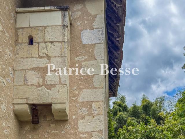 Entre Berry et Touraine, sur près de 4 ha, un ancien logis s. 183m² La Roche Posay