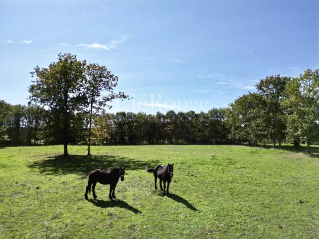 Entre Duras et Eymet Belle propriété avec un parc arboré d. 142m² Duras