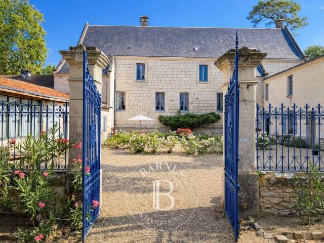 Entre Loudun et Chinon Château XVIIe Parc de 3,5 hectare. 530m² Chinon