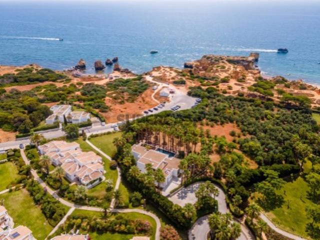 Entre si e o mar, existe apenas a falésia
