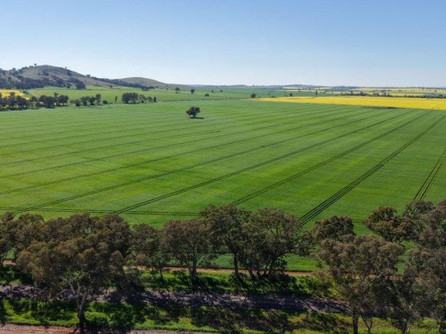 Entry to Dryland Cropping with Proven History