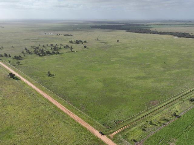 Entry Level Terricks Grazing Opportunity
