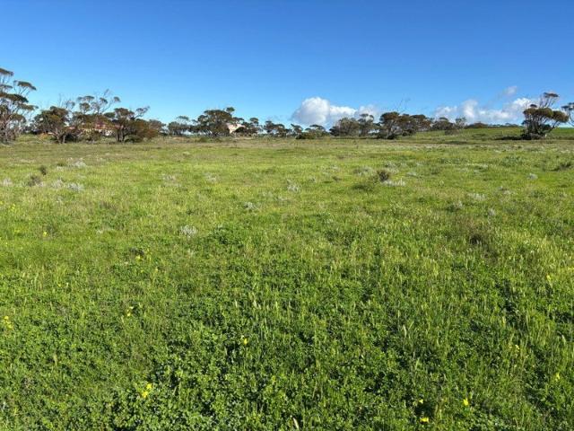Entry level allotments close to the coast