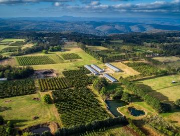 Enviable Central Coast Rural Lifestyle with Income