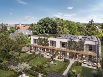 Maria Enzersdorf, Gemeinde Maria Enzersdorf, Bezirk Mödling, Niederösterreich